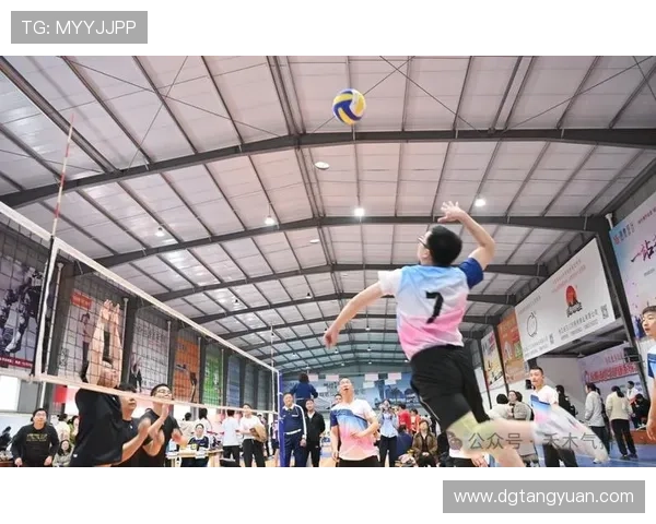 南京排球队耐力训练的挑战与突破探索