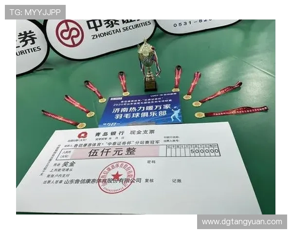 深圳羽毛球队总决赛个人能力分析与表现评估