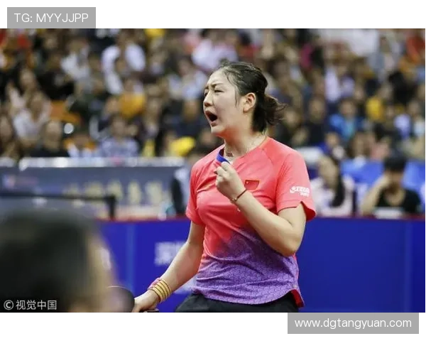 西安网球队强势领跑杯赛积分榜积分达到66分展现出色实力