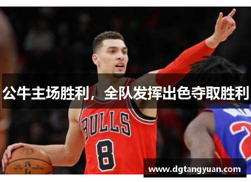 公牛主场胜利，全队发挥出色夺取胜利