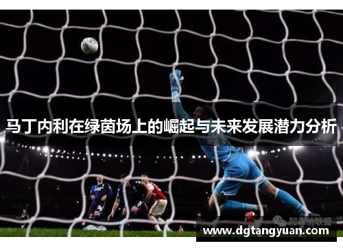马丁内利在绿茵场上的崛起与未来发展潜力分析